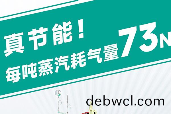 蒸(zheng)汽(qi)發(fā)(fa)生器源(yuan)頭(tou)廠(chǎng)(chang)家(jia)直(zhi)銷(xiāo)哪家靠譜(pu)？